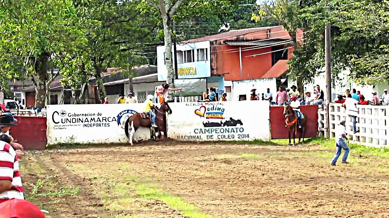 COLEO EN MEDINA