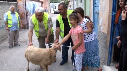 Sürpriz kurbanlık gözyaşlarına boğdu