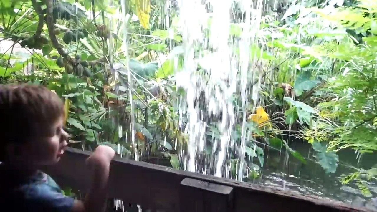 rencontre insolite ! - Vlog famille 20.06