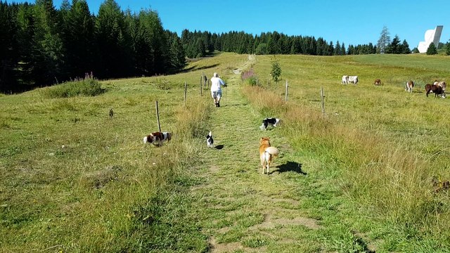 En promenade aux Glières 3