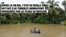 Kerala : une mousson dévastatrice