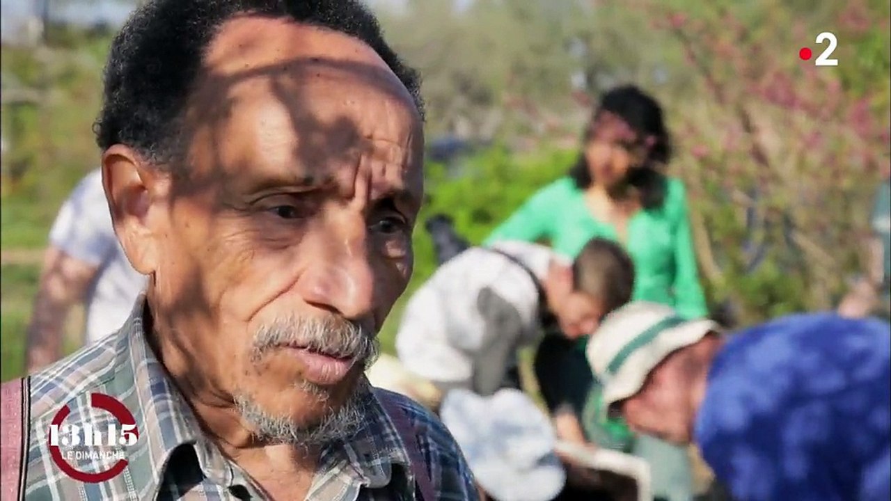 "Il y a le feu et il faut l'éteindre" : Pierre Rabhi condamne ceux qui "se foutent de l'avenir de l'humanité"