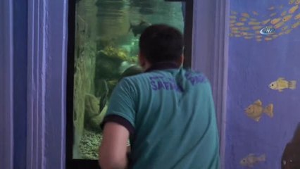 Hayvanat Bahçesindeki Dev Akvaryumlarda Bayram Temizliği