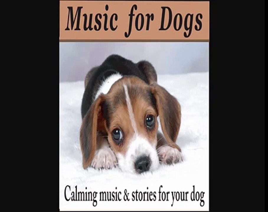 Music for Dogs Calming Music and Stories for your Dog