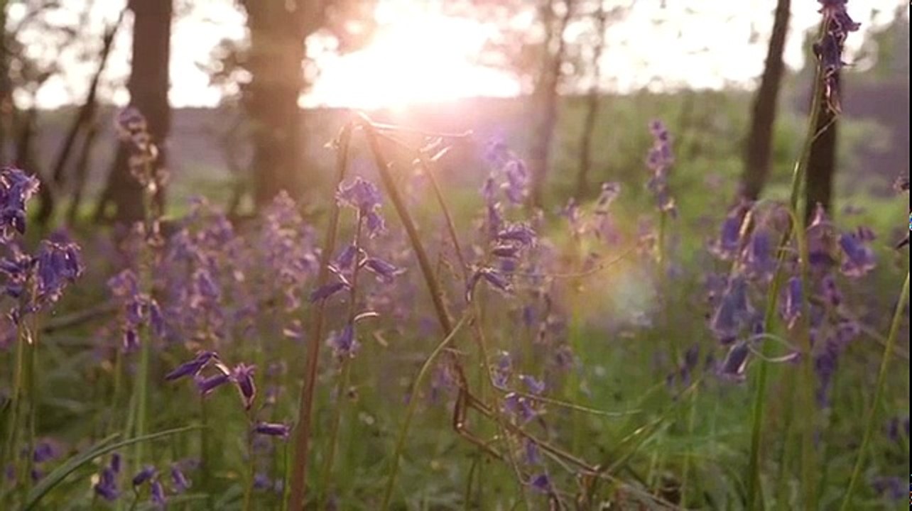 Mayday S01E04