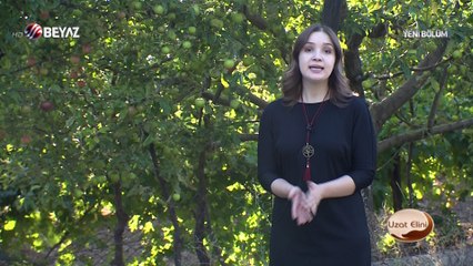 Uzat Elini 19 Ağustos 2018