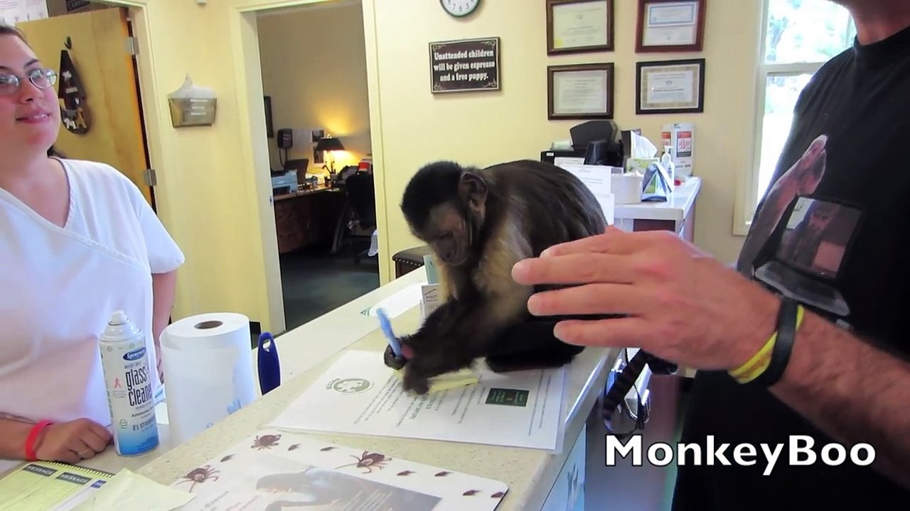 Monkey Vet Visit