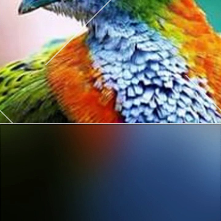 About fruit doves