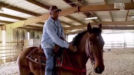 Angola Prison - The Last Ride