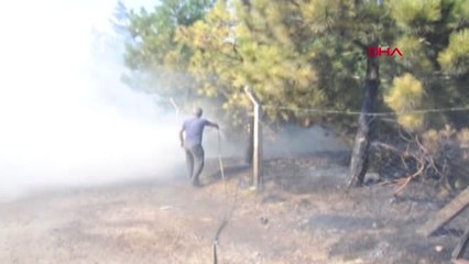 Tekirdağ Malkara'daki Orman Yangınında 400 Ağaç Yandı Hd