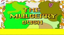 The Mulberry Bush Children Songs & Nursery Rhymes In English With Lyrics