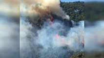 Orman Yangını Helikopter Yardımıyla 3 Saatte Söndürülebildi
