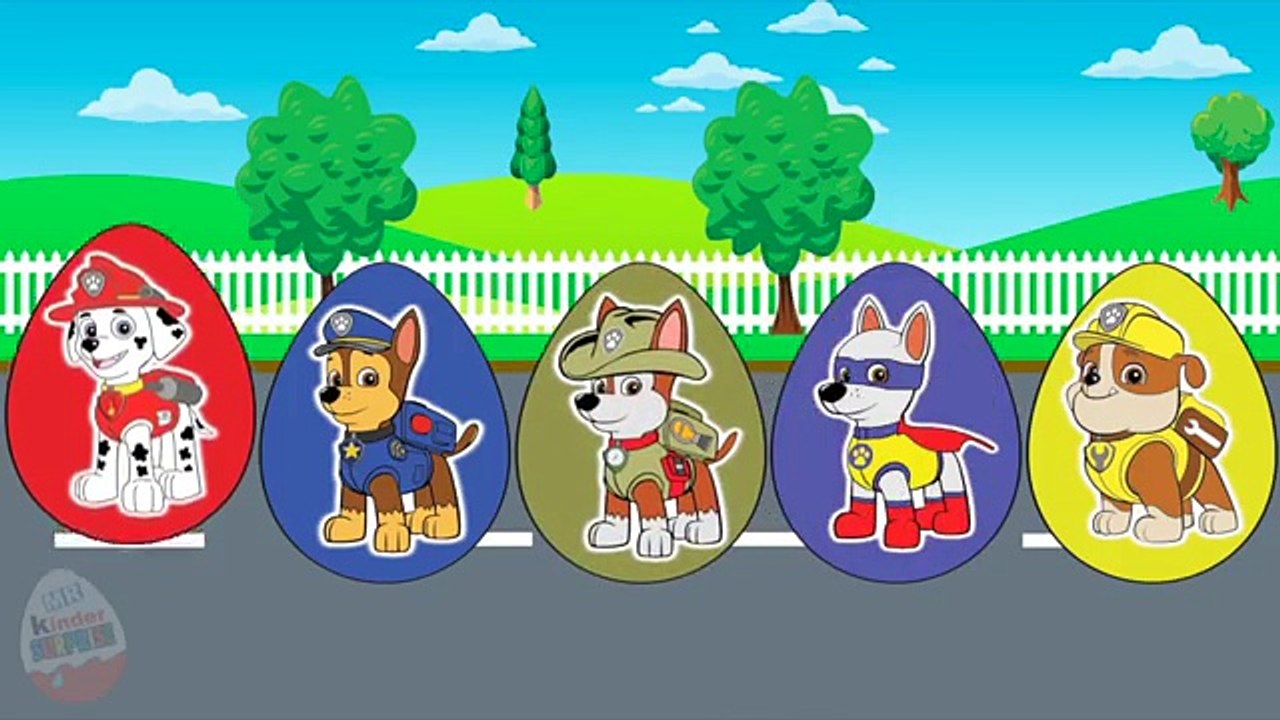 New Apollo Paw Patrol Chase Marshall Rubble Skye Rocky | Kids Surprise Eggs #Animation