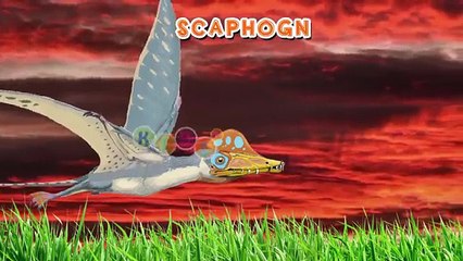 3D Dinosaur Bird Finger Family Animation Nursery Rhymes By KidsW