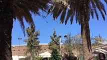 The U.S. Embassy in Asmara wishes everyone a Merry Christmas and happy holidays! Here is a short video of us decorating the Embassy tree!