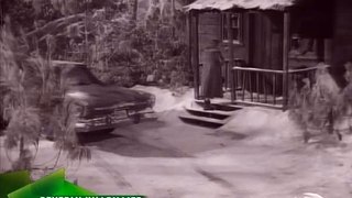 The Beverly Hillbillies  S01E15 - Jed Rescues Pearl