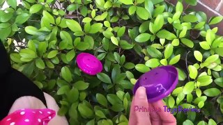 Learn with Mr Potato Head Toy Hunt Outdoor & Body Part Names for Kids with Princess ToysRe