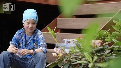 Gift giving crows Worlds Weirdest Events: Episode 5 BBC Two