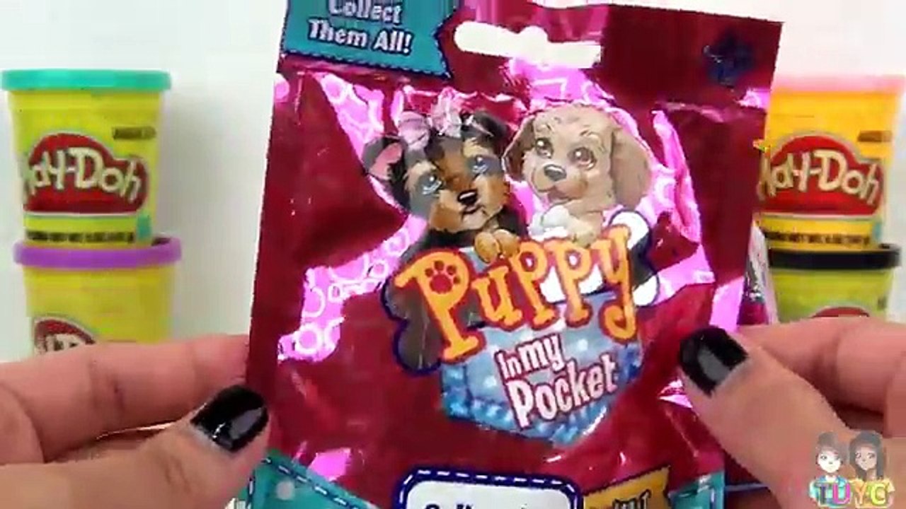 Paw Patrol Play Doh Egg Surprise with Skye and Chase with Toys Unlimited