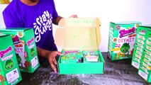 *NEW* Guava Juice Box DIY Kit Edition! (UNBOXING)