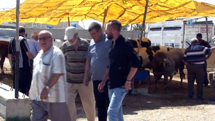 Kurbanlıklar Alıcılarını Beklemeye Devam Ediyor