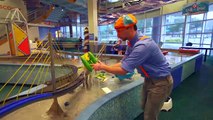 Blippi at an Outdoor Childrens Museum | Learn about Fossils and More!