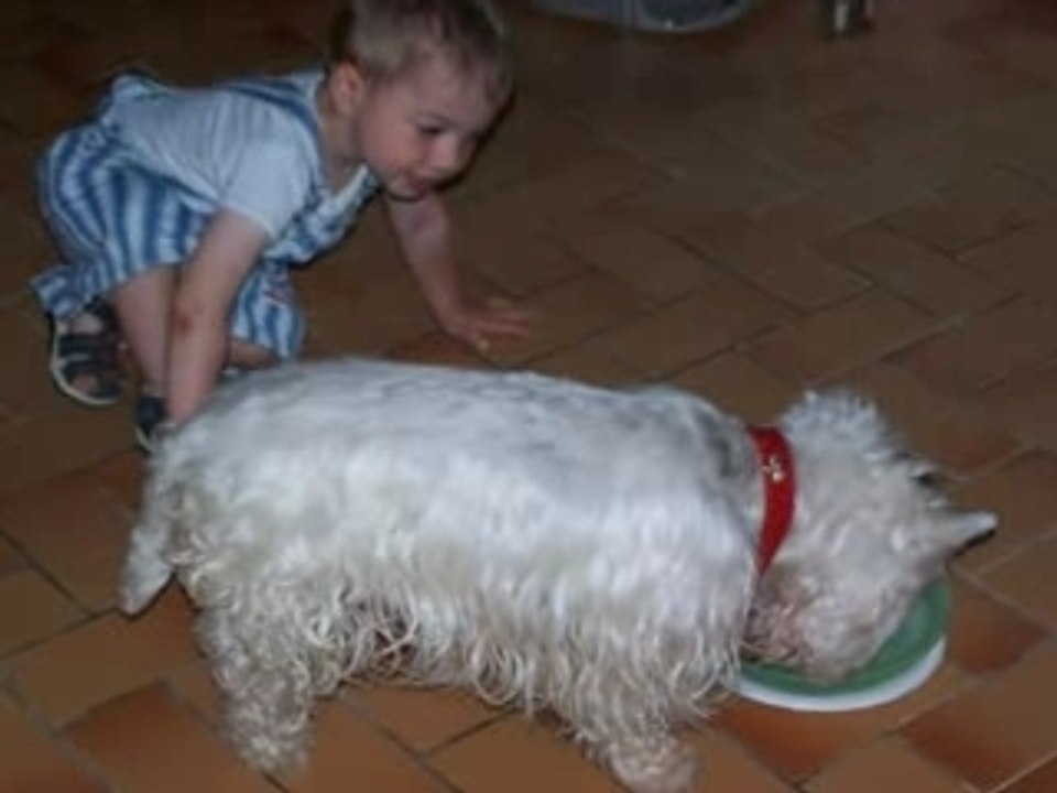 Ewan2003-2005
