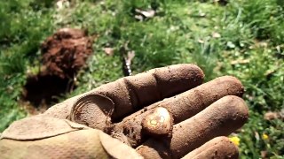 Metal Detecting an Old Farm Found Huge Silver and lots of coins!