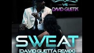 Snoop Dogg sweat (david guetta remix) good remix!