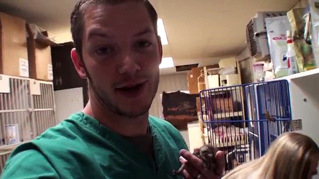 1 Week Old Kittens Rescued