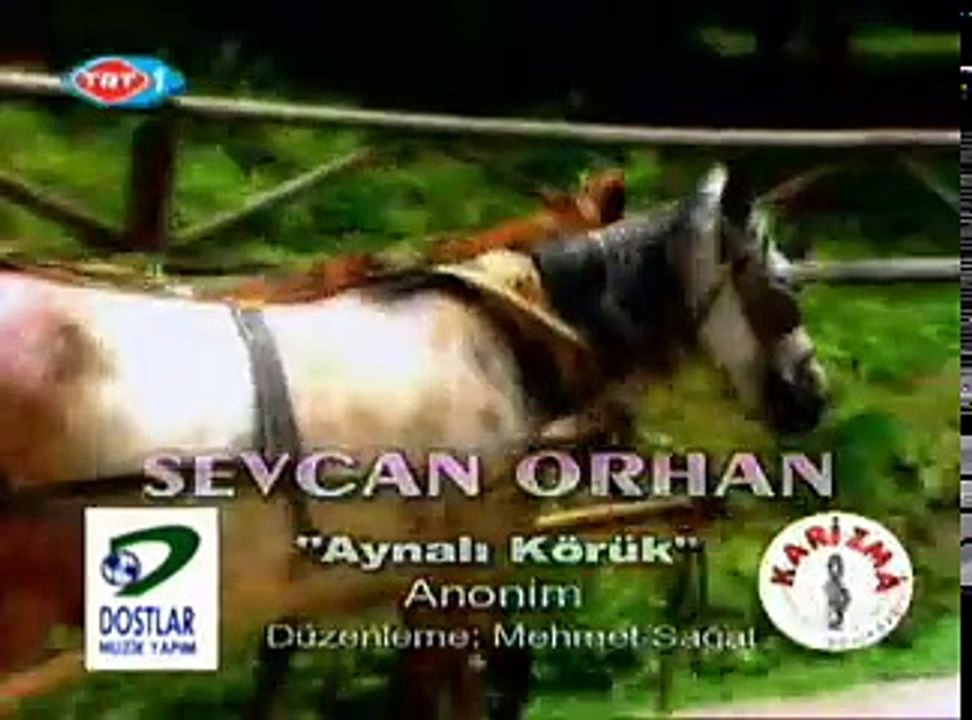 Sevcan Orhan, Aynalı Körük