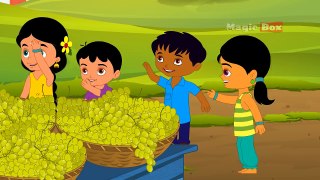 திராட்சை (Dhartchai) Grapes | Tamil Rhymes for Kids | Baby Tamil Songs | Tamil Cartoons