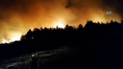 Kırkağaç’ta orman yangını