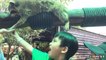 FEEDING ANIMALS IN FARM in the City Malaysia | Zoo Safari petting animals for kids