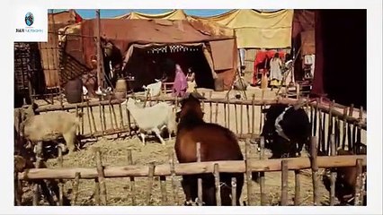 Josue y la tierra prometida Capitulo 23 Idioma Españ