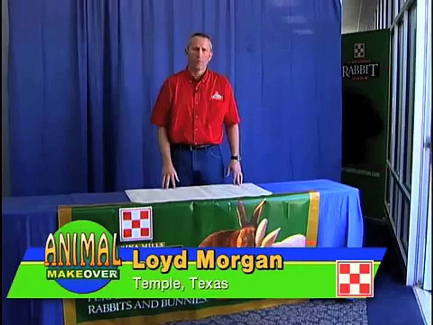Showing Rabbits