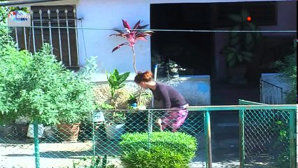 ESTRENO TRAS LA HUELLA JACOMINO 304 PARTE 2