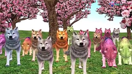 Animals Cartoons Finger Family Children Nursery Rhymes || Animal Children Nursery Rhymes C