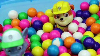 Paw Patrol Gumball Counting Video