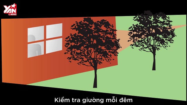 Giải Mã Nỗi Sợ - Kỳ 3: Bạn có sợ 8 chân và đống mắt kinh dị của loài Nhện không?