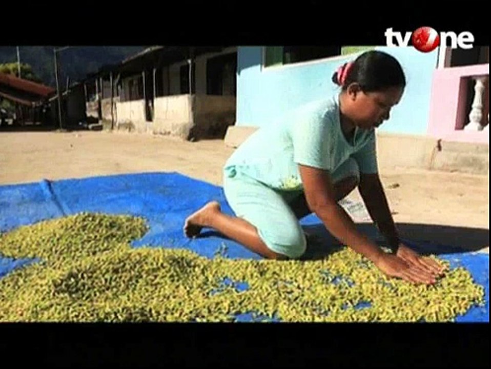 Selera Asal Nikmatnya Gurita Kuah Hitam di Negeri Saleman