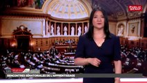Rencontres sénatoriales de l'apprentissage - Les matins du Sénat (09/08/2018)