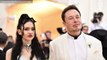 Elon Musk And Grimes Unfollow Each Other On Instagram
