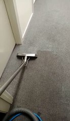 Stain Removing Treatment