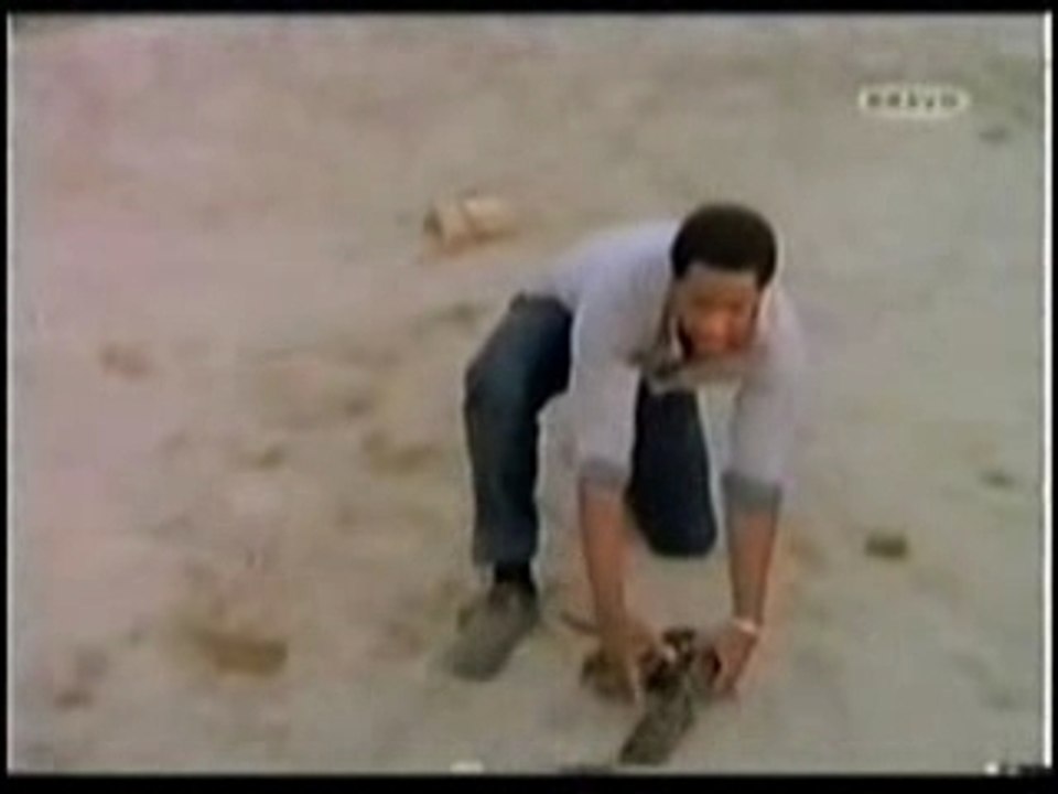 Manimal transformation en serpent