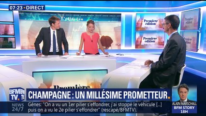 Champagne: un millésime prometteur