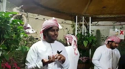 Enjoy the EID with Dubai Butterfly Garden