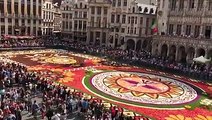 Giant carpet made of flowers.Dedicated to Guanajuato, a Mexican region with rich floral culture and tradition, the Flower Carpet 2018 is on display at Brussels