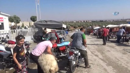 Kilis'te İlginç Kurban Taşıma Teknikleri... Kimi Kurbanı Kucağında Kimi İse Motosikletle Taşıdı