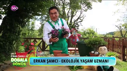 Doğala Dönüş